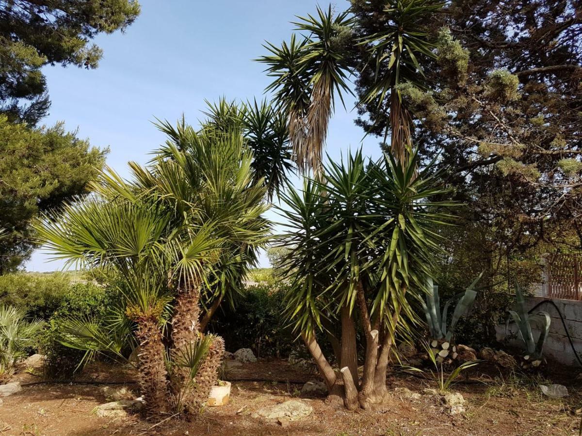 Villa Mina Carovigno Exteriér fotografie